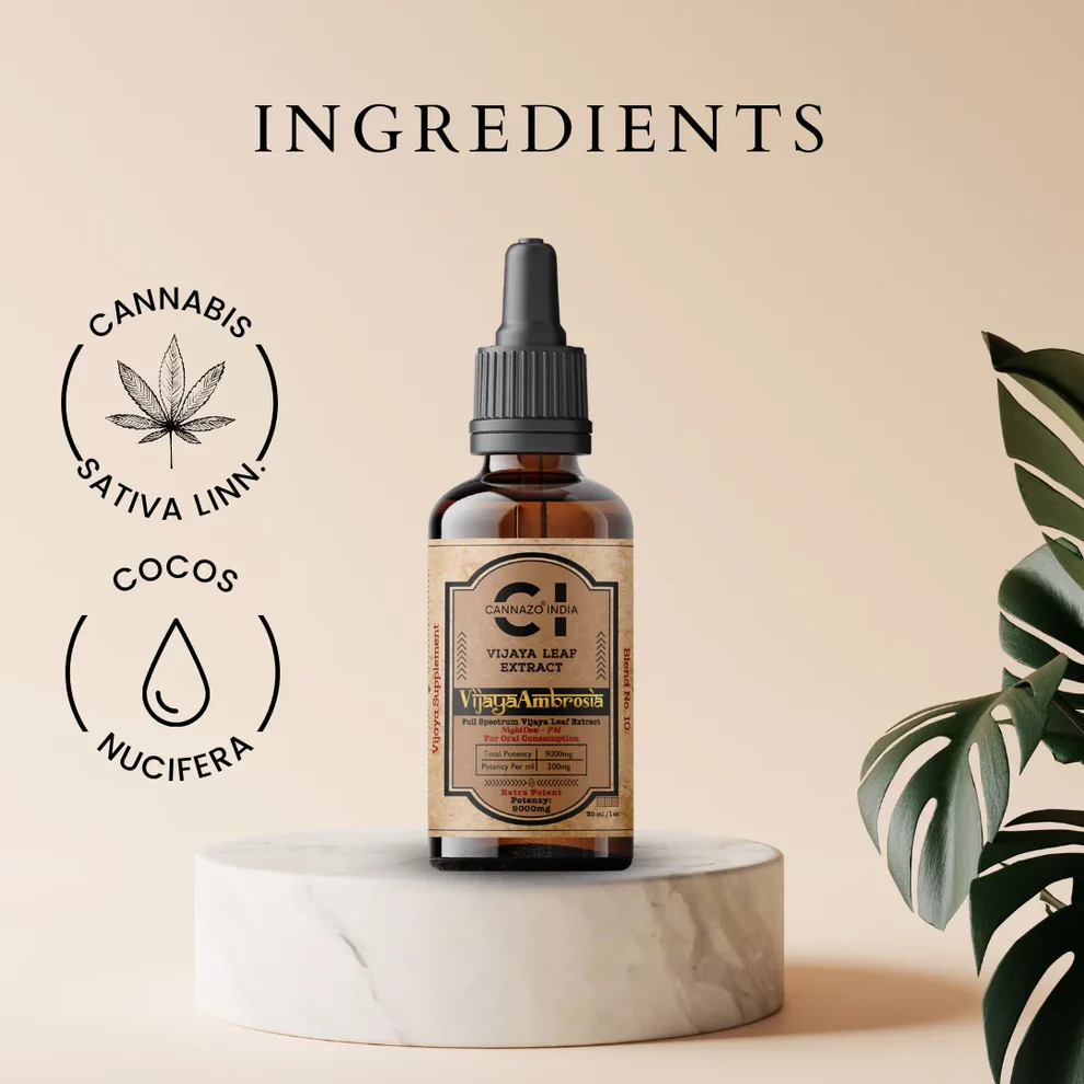 Cannazo India Vijaya Ambrosia 1:4 (CBD:THC) - Image 4