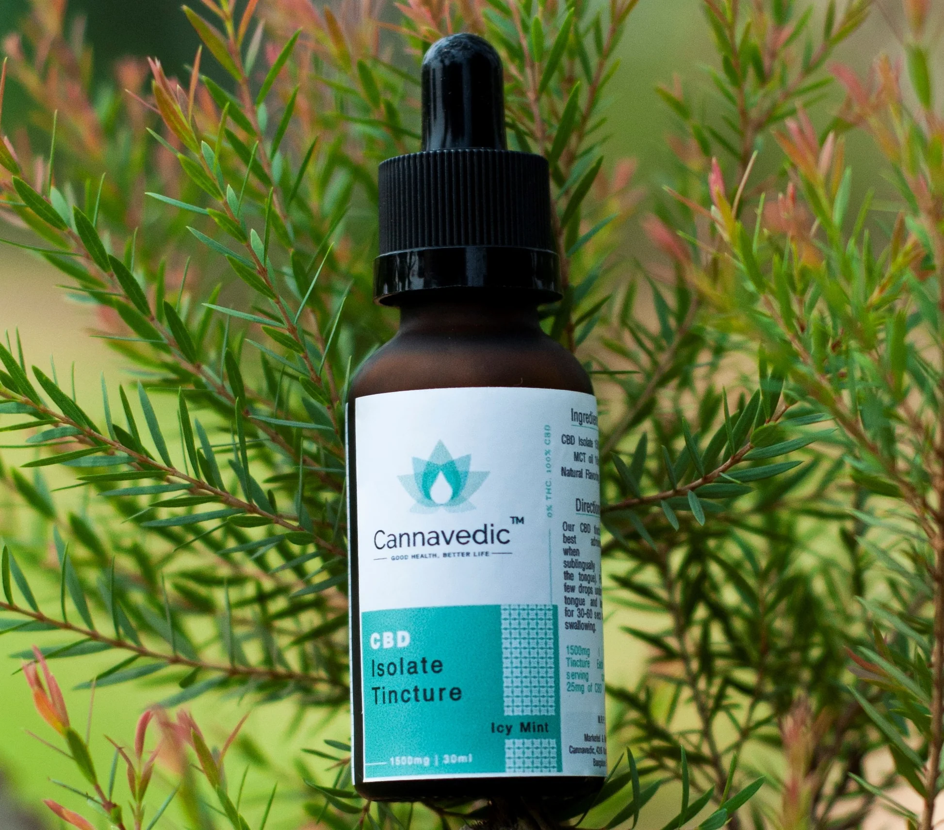 Cannavedic CBD Oil Icy Mint 1500mg | 30ml - Image 4