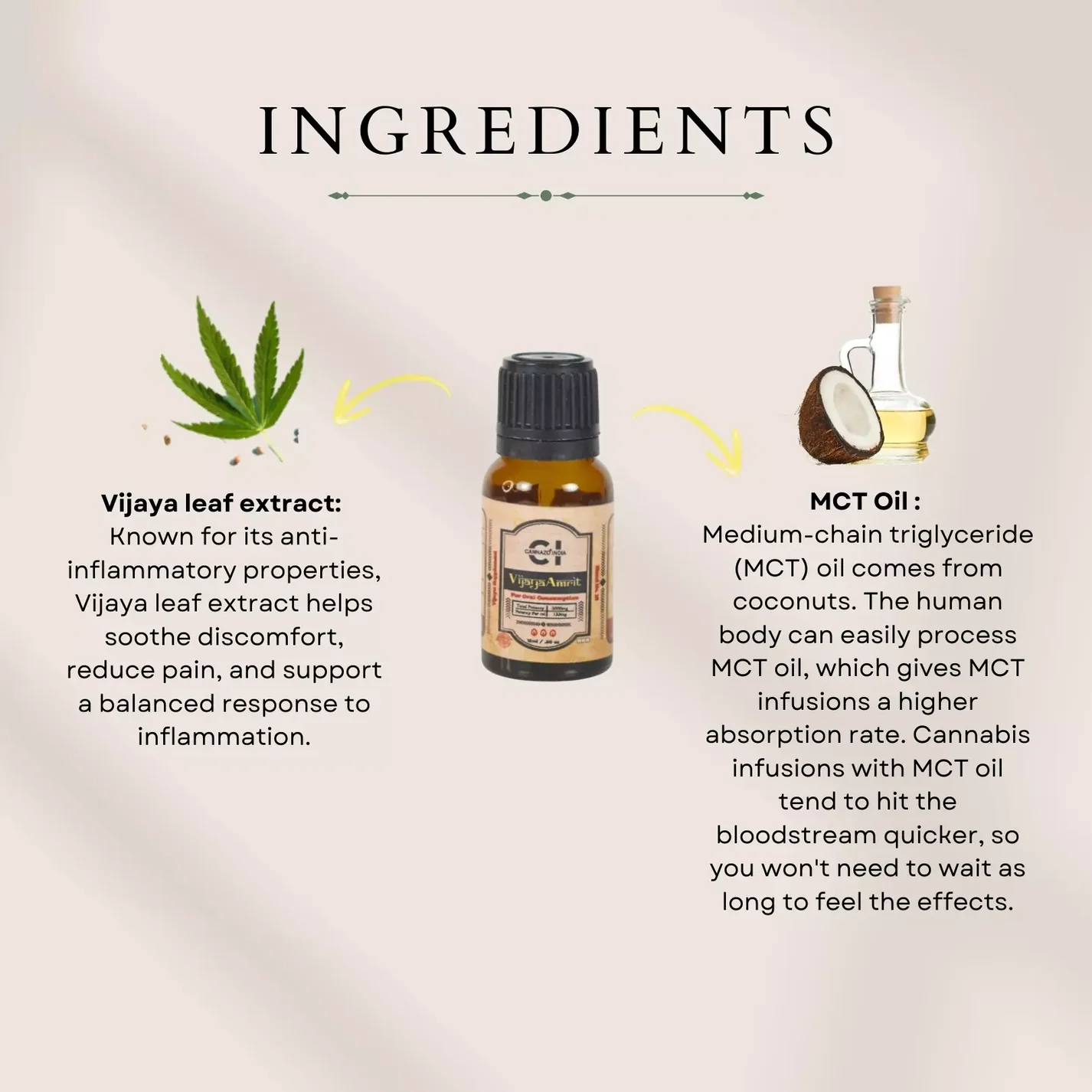 Cannazo India Vijaya Amrit (4:1) – Neuro & Immuno Protective - Image 4