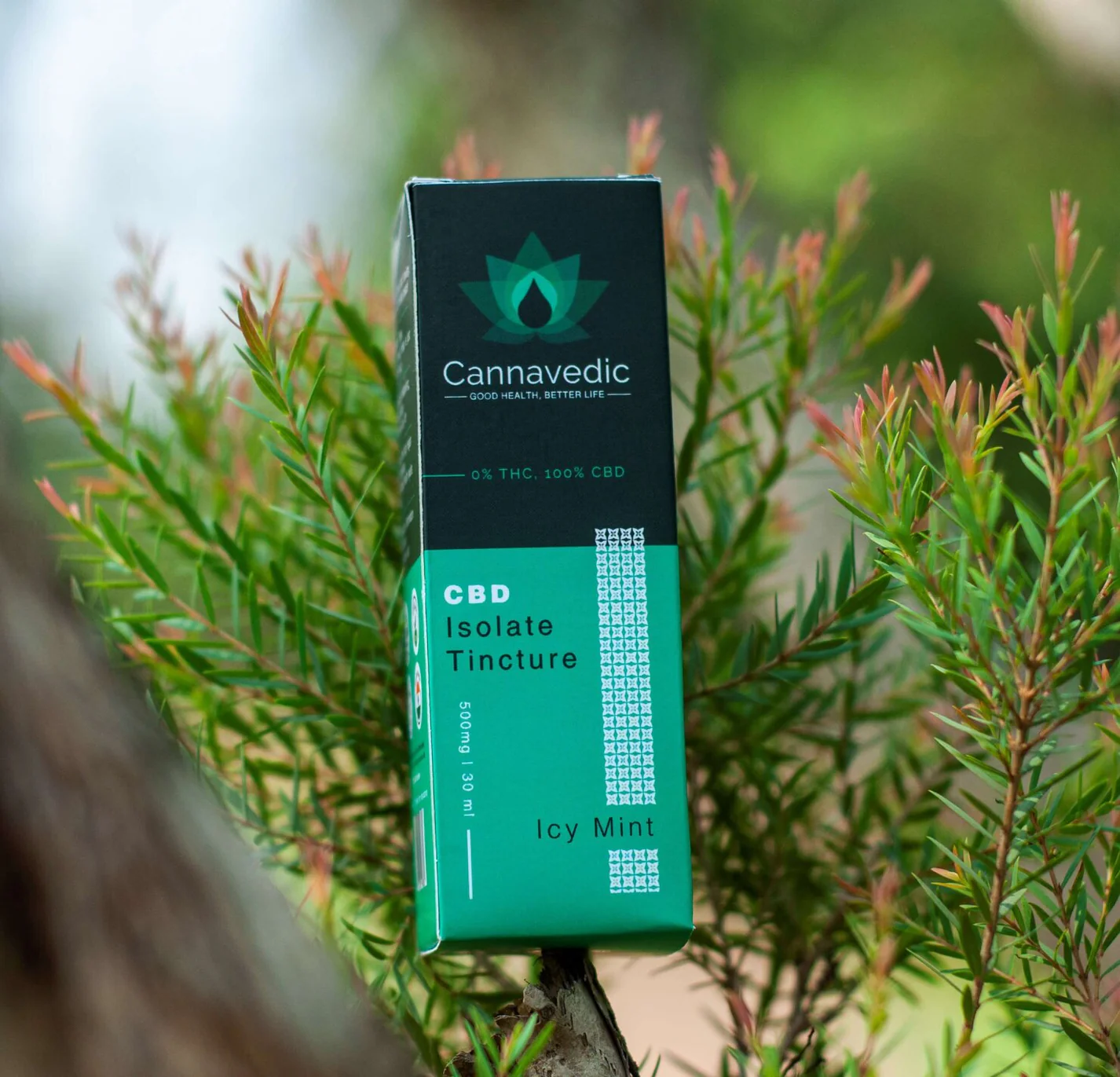 Cannavedic CBD Oil Icy Mint 1500mg | 30ml - Image 2