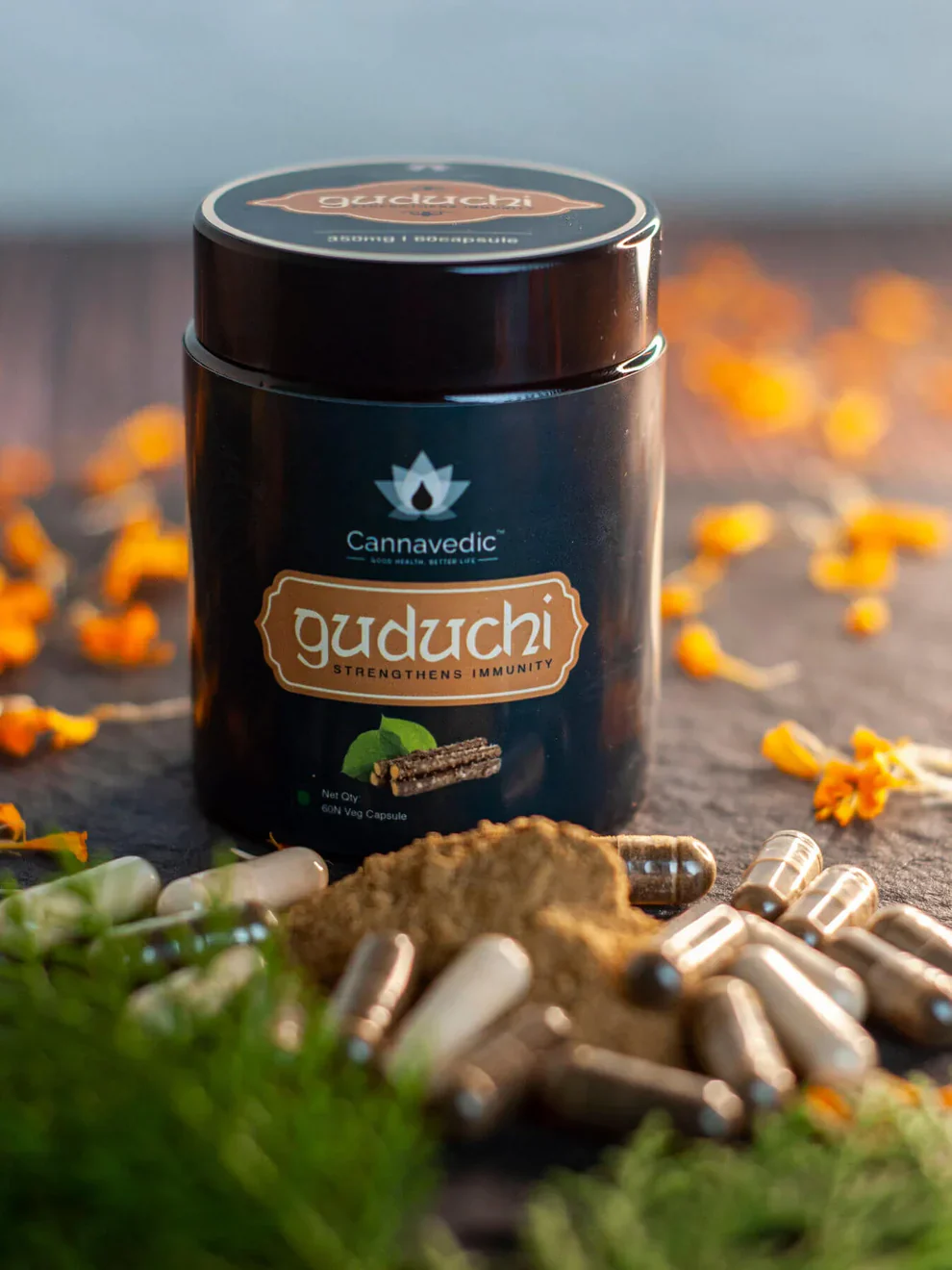 Cannavedic Guduchi Capsules – Immunity booster (60 capsules) - Image 3